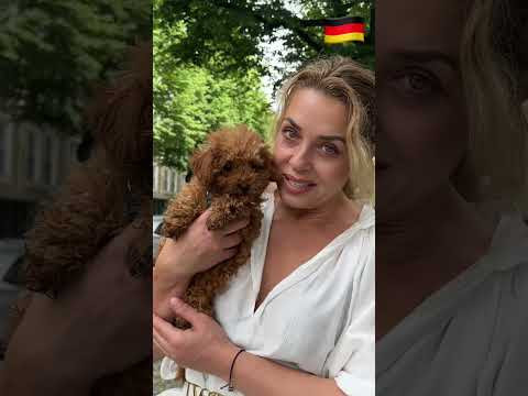 Сравнения на немецком языке