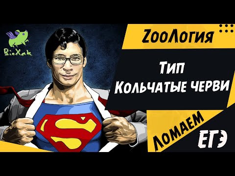 Тип Кольчатые черви/ скрипт / домашка /BioXak