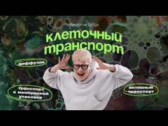 КЛЕТОЧНЫЙ ТРАНСПОРТ ЗА 15 МИНУТ | ЦТ, ЦЭ