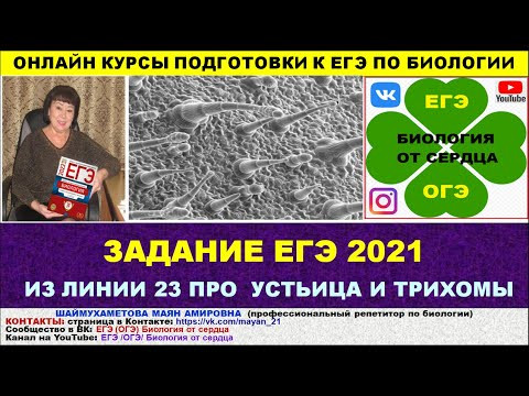 ЗАДАНИЕ ИЗ ЕГЭ 2021. ЛИНИЯ 23 С МИКРОФОТОГРАФИЕЙ ПОВЕРХНОСТИ ЛИСТА