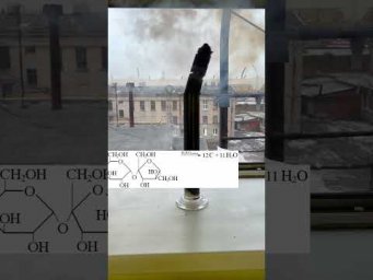 Углеводы с H₂SO₄ конц. #учимхимию