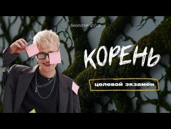 КОРЕНЬ | Целевой экзамен