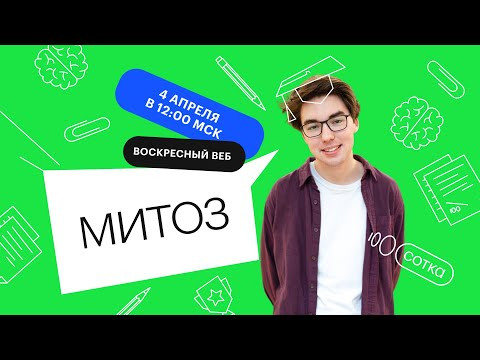 Митоз | ЕГЭ БИОЛОГИЯ 2021 | Онлайн-школа СОТКА Митоз | ЕГЭ БИОЛОГИЯ 2021 | Онлайн-школа СОТКА