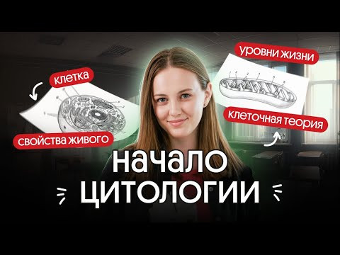 ВСЕ О СЕРДЦЕ И КРУГАХ КРОВООБРАЩЕНИЯ | ЕГЭ по биологи 2026