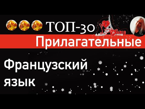 ФРАНЦУЗСКИЙ ЯЗЫК 