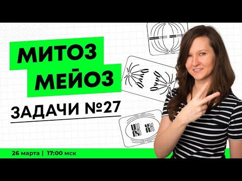 ВСЕ ПРО МИТОЗ МЕЙОЗ | ЕГЭ РАЗБОР ЗАДАНИЙ № 27 ВСЕ ПРО МИТОЗ МЕЙОЗ | ЕГЭ РАЗБОР ЗАДАНИЙ № 27