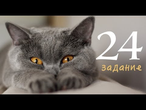24 задание ЕГЭ по русскому языку 2019