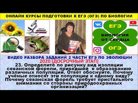 ЗАДАНИЕ ПО ВИДООБРАЗОВАНИЕ ИЗ 2020 ГОДА ЗАДАНИЕ ПО ВИДООБРАЗОВАНИЕ ИЗ 2020 ГОДА