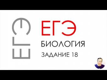 ЕГЭ биология 2020 Задание 18 Рохлов разбор