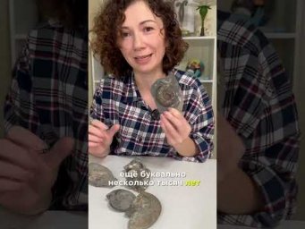 Возраст этих крошек-аммонитов у меня в руках &ndash; аж 70 миллионов лет! 
