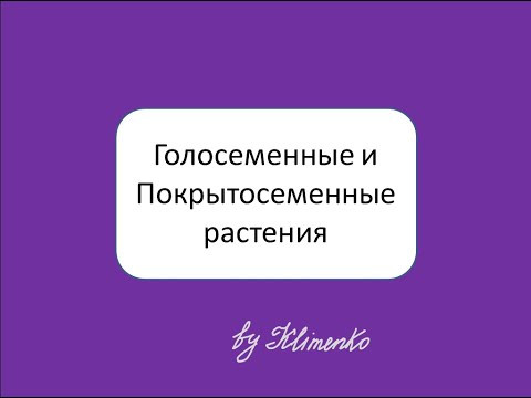 Голосеменные и Покрытосеменные растения