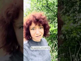 &laquo;Сережка на дереве&raquo; по-немецки