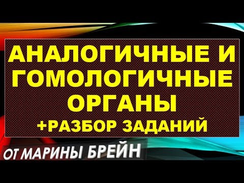 Аналогичные и гомологичные органы ЕГЭ, ОГЭ, их сравнение + разбор заданий