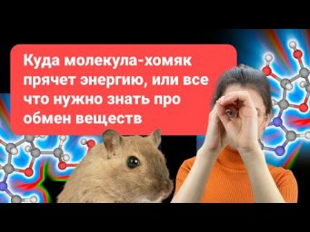 АТФ или молекула прячущая энергию