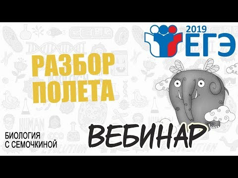 РАЗБОР ЕГЭ 2019 | Биология РАЗБОР ЕГЭ 2019 | Биология