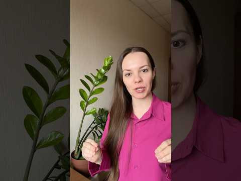 Книжный / разговорный #learnchinese #китайский #китайскийязык #китайский_язык #китайскийдлявсех #汉语 Книжный / разговорный #learnchinese #китайский #китайскийязык #китайский_язык #китайскийдлявсех #汉语