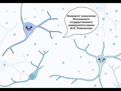Психологический факультет МГУ им. М.В. Ломоносова.