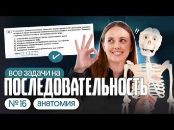 ЗАДАЧИ ПО АНАТОМИИ ИЗ сборника РОХЛОВА 2026| ЕГЭ по биологии 2026 | Вероника Вавилова