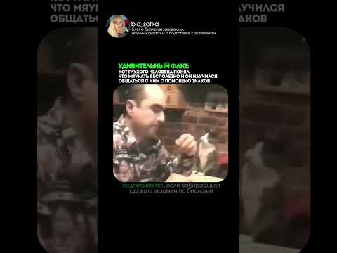 глухая кошка поняла, что ее голос не доходит до него, и приспособилась #биология #сотка #егэбиология