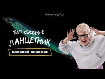 ТИП ХОРДОВЫЕ. ЛАНЦЕТНИК | Целевой экзамен