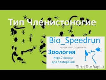 10. Членистоногие (Speedrun зоология 7 класс, ЕГЭ, ОГЭ 2021)
