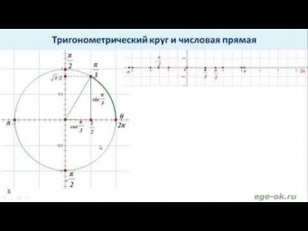 Тригонометрический круг и числовая прямая