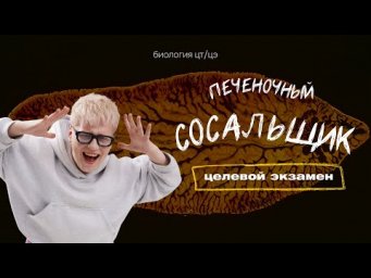ТИП ПЛОСКИЕ ЧЕРВИ. ПЕЧЕНОЧНЫЙ СОСАЛЬЩИК  | Целевой экзамен