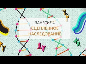 Занятие 4 |  Сцепленное наследование