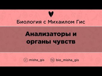 Анализаторы и органы чувств  | ЕГЭ ОГЭ Биология с Михаилом Гис