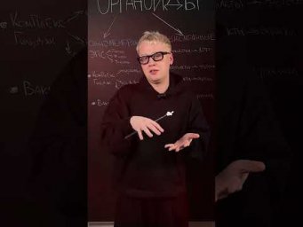 Органоиды и их функции | Биология с Яном