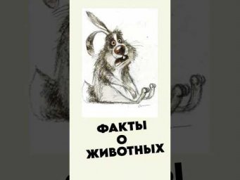 Грустные факты о животных 2