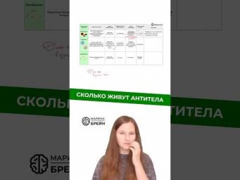 СКОЛЬКО ЖИВУТ АНТИТЕЛА #биологияегэ #биология #анатомия