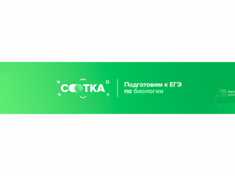 Фотосинтез без проблем | ЕГЭ БИОЛОГИЯ 2020 | Онлайн-школа СОТКА