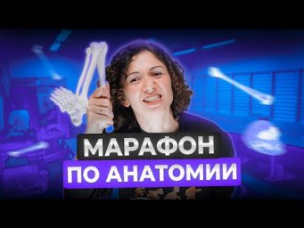 Анатомия за 3 часа | Биология ЕГЭ