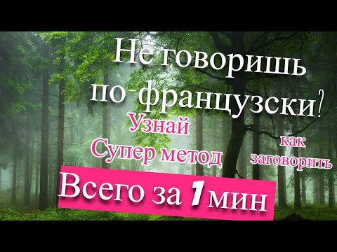 Как выучить французский язык быстро и легко