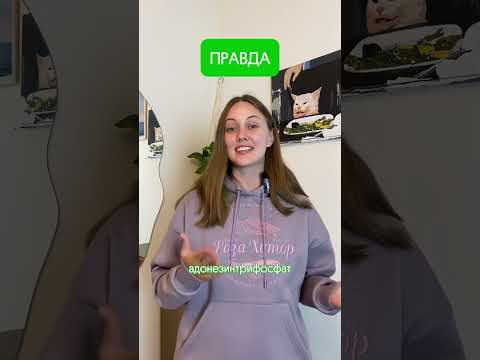 Тест на знание биологии 
