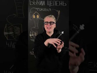 Бычий цепень | Биология с Яном