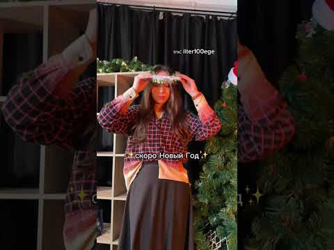 НАСТРОЕНИЕ В ДЕКАБРЕ #сотка #сочинение #литератураегэ #егэ #литература