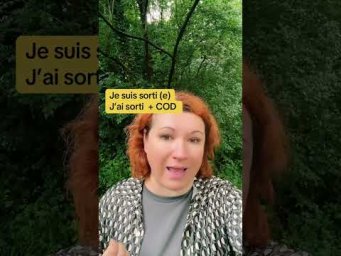 JE SUIS SORTI (e) или J&rsquo;AI SORTI