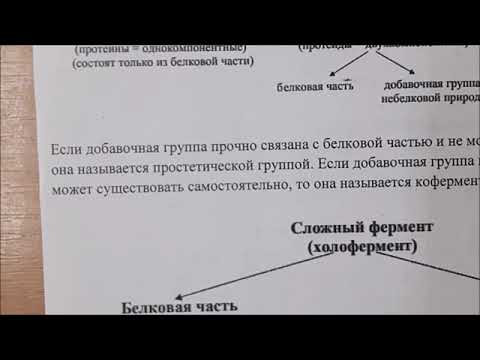 Задание ЕГЭ на  действие ферментов