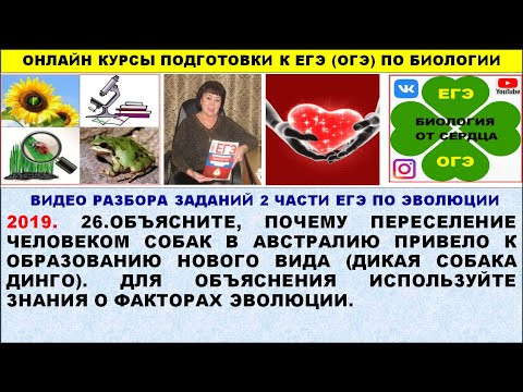 ДВЕ ЗАДАЧИ ПРО МЕХАНИЗМ ВИДООБРАЗОВАНИЯ ДВЕ ЗАДАЧИ ПРО МЕХАНИЗМ ВИДООБРАЗОВАНИЯ