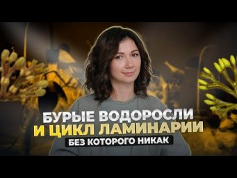 НЕ ЗНАЕШЬ ЦИКЛ ЛАМИНАРИИ? НЕ СДАШЬ ЕГЭ!