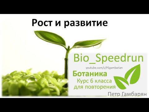 14. Рост и развитие (Speedrun ботаника 6 класс, ЕГЭ, ОГЭ 2021)