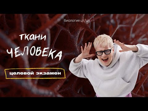 ТКАНИ ЧЕЛОВЕКА | Целевой экзамен ТКАНИ ЧЕЛОВЕКА | Целевой экзамен