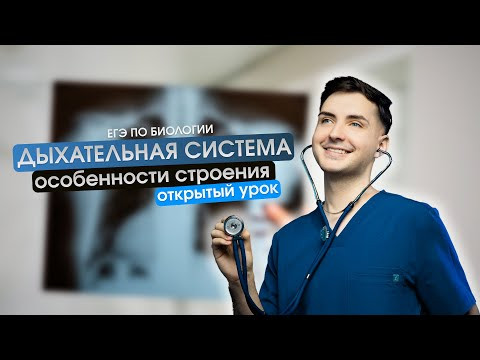 Дыхательная система | Полный урок | Плюс