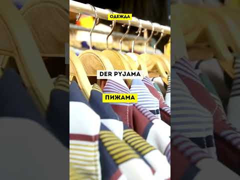 Словарный запас на немецком #одежданемецкий #немецкийснуля  #немецкиеслова #немецкий #немецкийязык