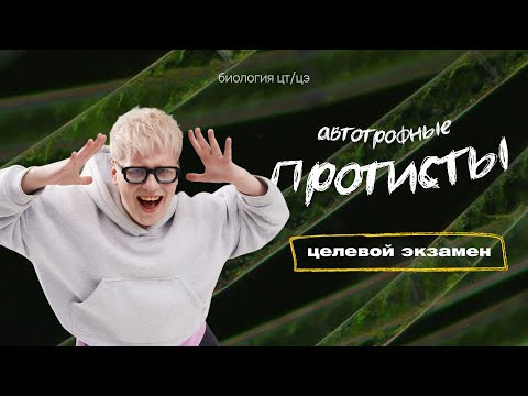 АВТОТРОФНЫЕ ПРОТИСТЫ | Целевой экзамен АВТОТРОФНЫЕ ПРОТИСТЫ | Целевой экзамен