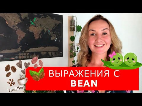 5 выражений со словом BEAN Легкий английский 5 выражений со словом BEAN Легкий английский