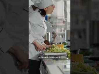 Теперь можно программировать и создавать кулинарные рецепты!