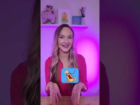 Назовёшь этих животных на испанском языке? #испанскийязык